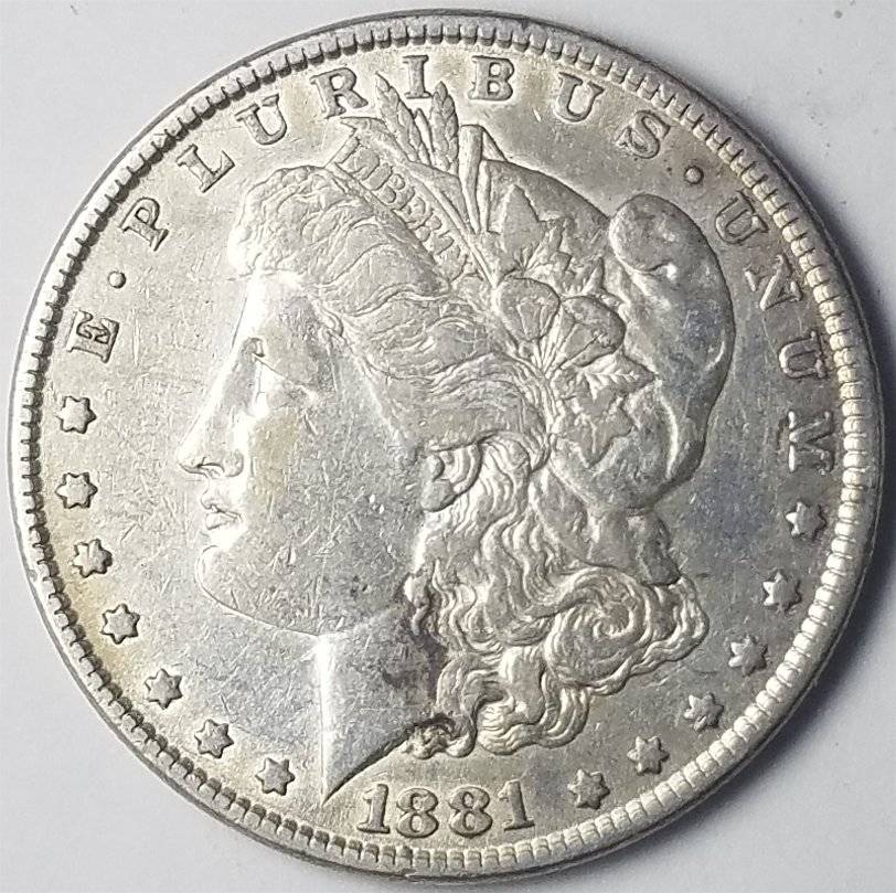 #-12-Of-My-Silver-Dollar-Collection-For--Grading-1881-P-Morgan