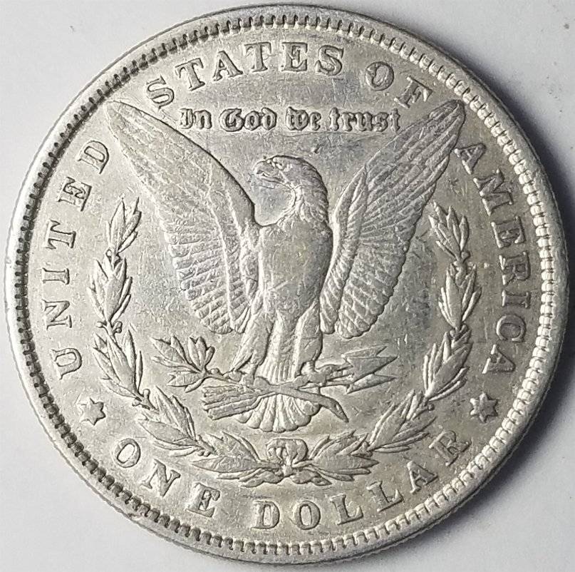#-12-Of-My-Silver-Dollar-Collection-For--Grading-1881-P-Morgan