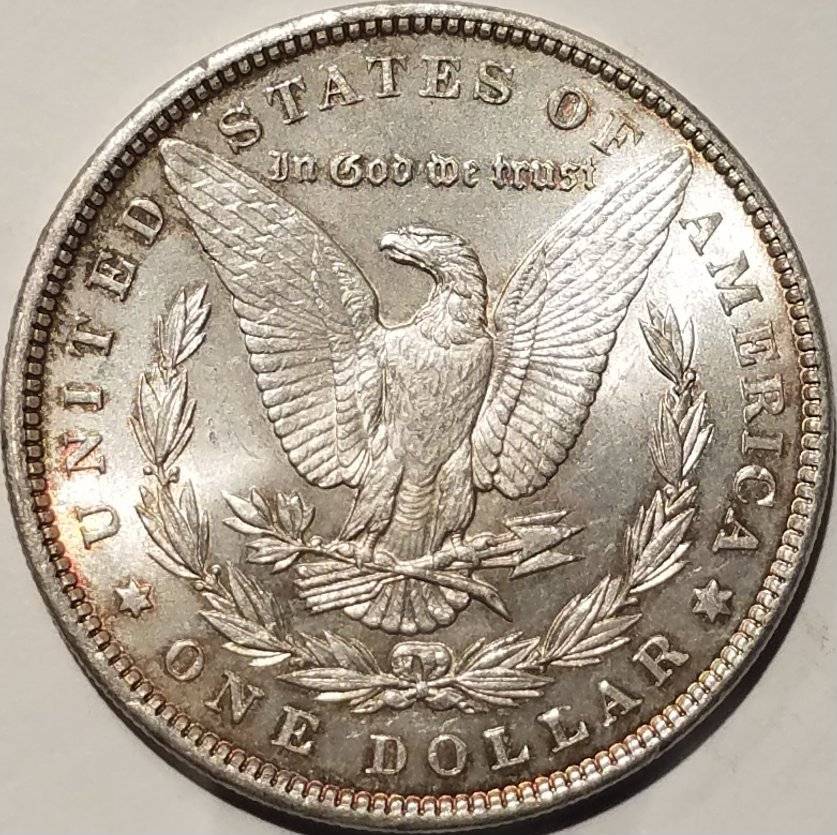 #-17-Of-My-Silver-Dollar-Collection-For--Grading-1896-P-Morgan