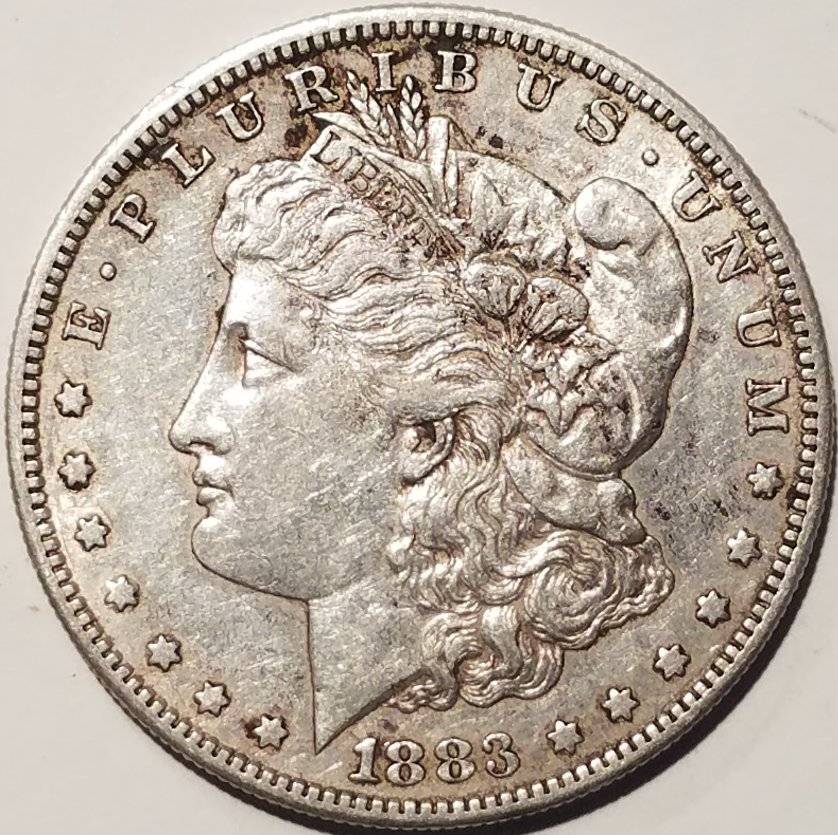 #-16-Of-My-Silver-Dollar-Collection-For--Grading-1883-S-Morgan