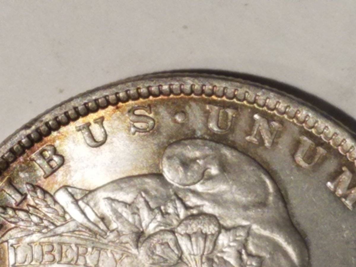 #-17-Of-My-Silver-Dollar-Collection-For--Grading-1896-P-Morgan