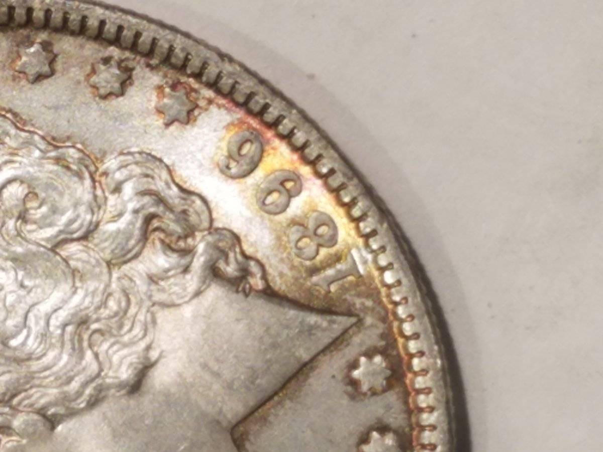 #-17-Of-My-Silver-Dollar-Collection-For--Grading-1896-P-Morgan