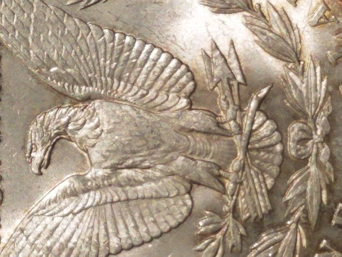 #-17-Of-My-Silver-Dollar-Collection-For--Grading-1896-P-Morgan