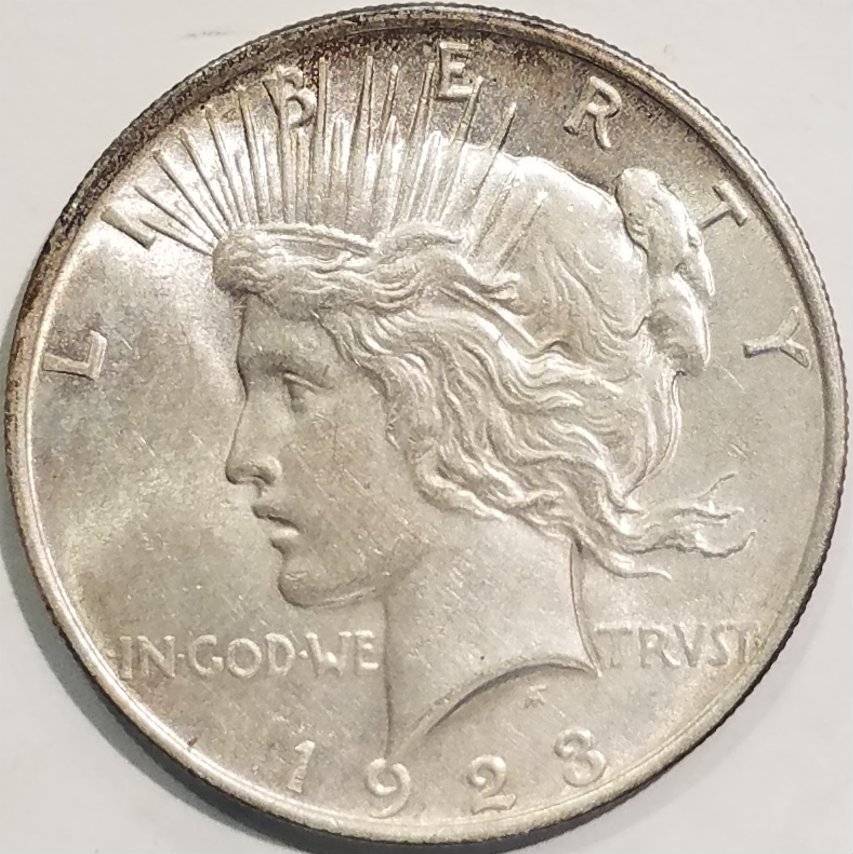 #-18-Of-My-Silver-Dollar-Collection-For--Grading-1923-P-Peace