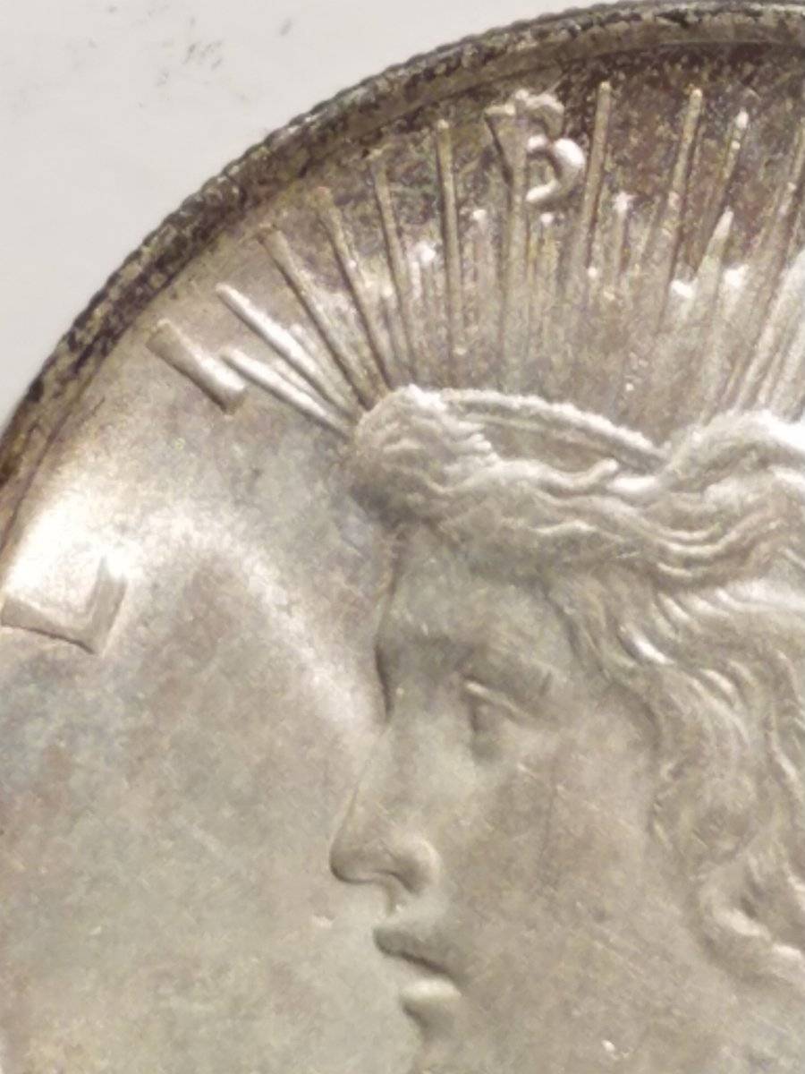 #-18-Of-My-Silver-Dollar-Collection-For--Grading-1923-P-Peace