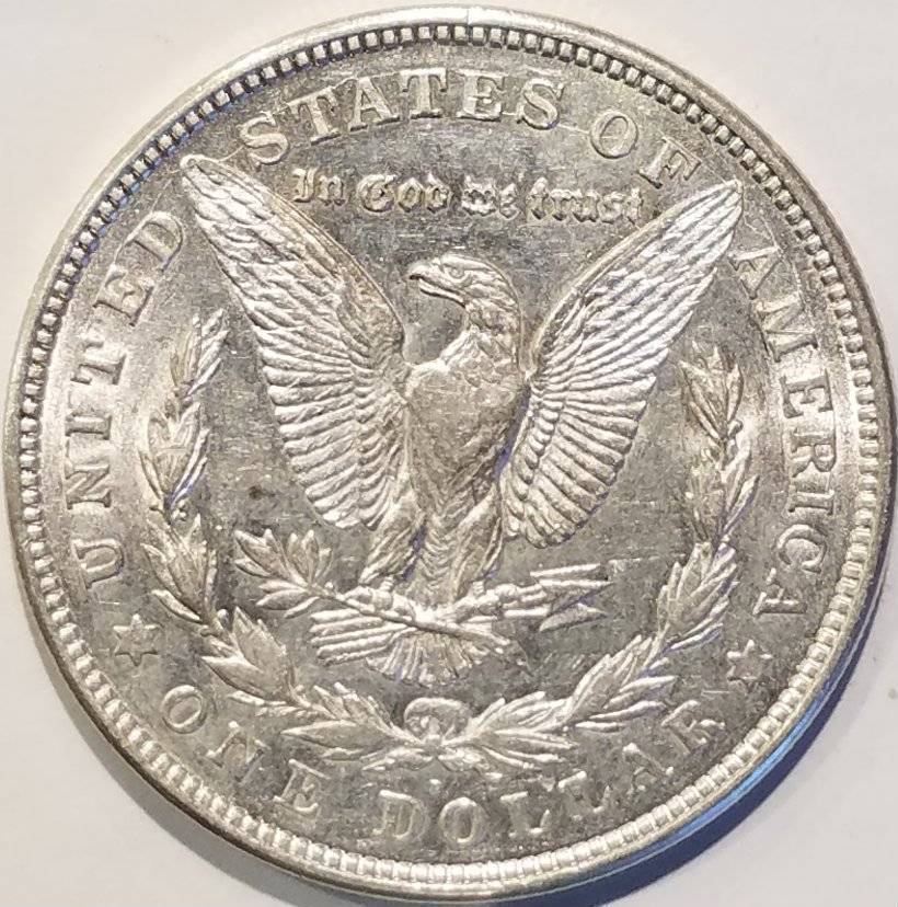 #-19-Of-My-Silver-Dollar-Collection-For--Grading-1921-D-Morgan