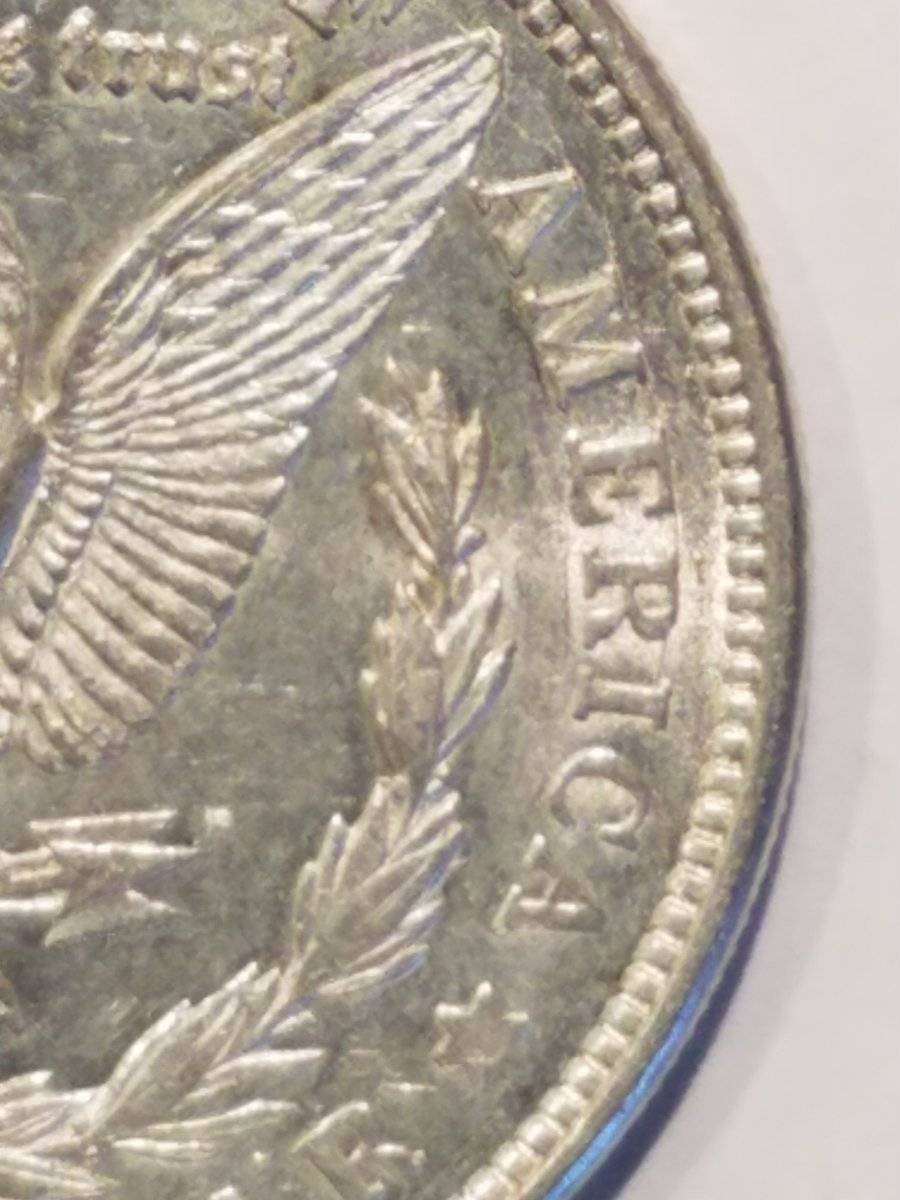 #-19-Of-My-Silver-Dollar-Collection-For--Grading-1921-D-Morgan