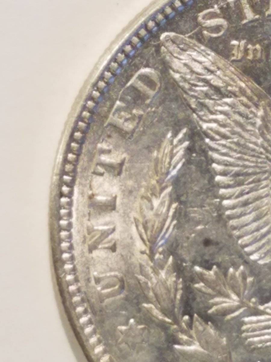 #-19-Of-My-Silver-Dollar-Collection-For--Grading-1921-D-Morgan
