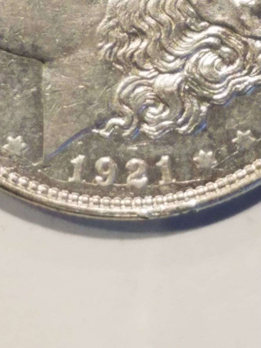 #-19-Of-My-Silver-Dollar-Collection-For--Grading-1921-D-Morgan