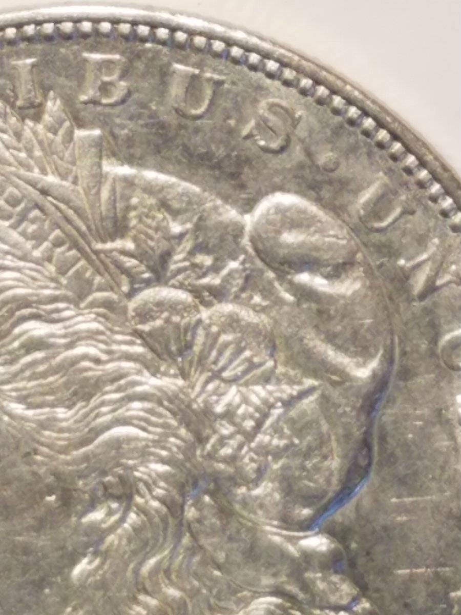 #-19-Of-My-Silver-Dollar-Collection-For--Grading-1921-D-Morgan