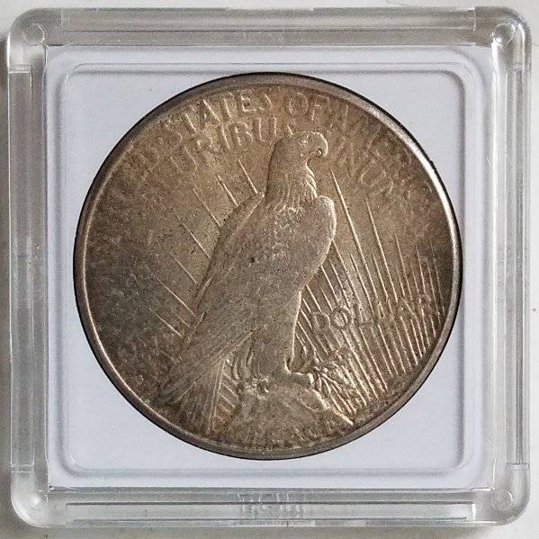 #-20-Of-My-Silver-Dollar-Collection-For--Grading-1928-S-Peace