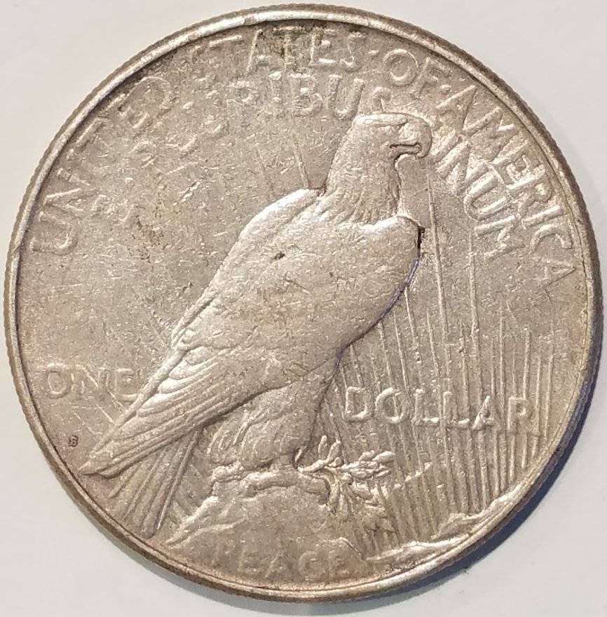 #-23-Of-My-Silver-Dollar-Collection-For--Grading-1923-S-Peace