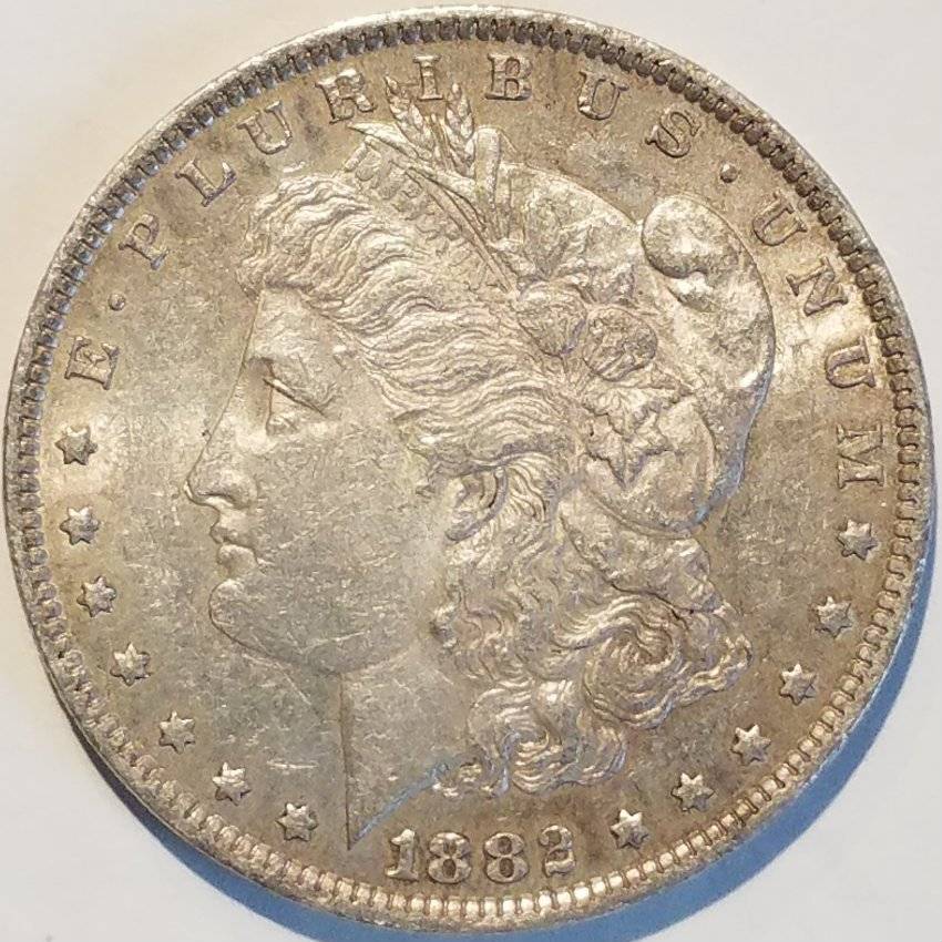 #-24-Of-My-Silver-Dollar-Collection-For--Grading-1882-O-Morgan