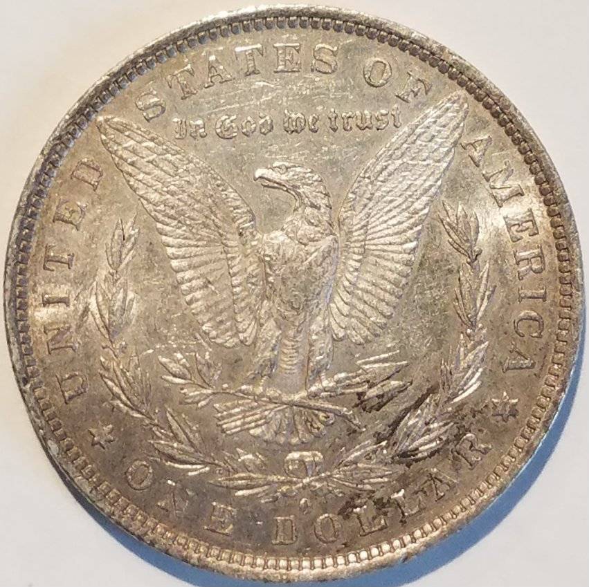 #-24-Of-My-Silver-Dollar-Collection-For--Grading-1882-O-Morgan