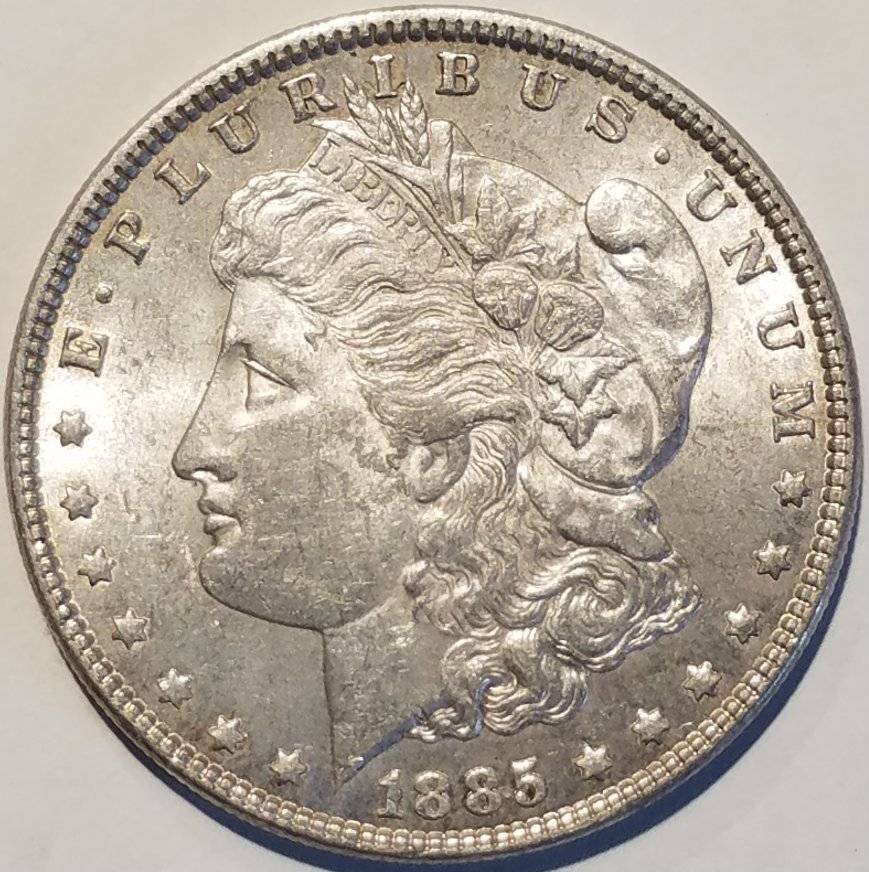 #-25-Of-My-Silver-Dollar-Collection-For--Grading-1885-P-Morgan