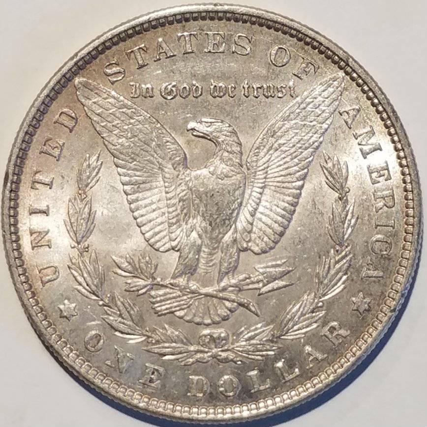 #-25-Of-My-Silver-Dollar-Collection-For--Grading-1885-P-Morgan