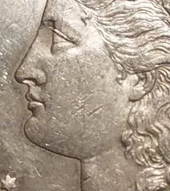 #-28-Of-My-Silver-Dollar-Collection-For--Grading-1900-P-Morgan