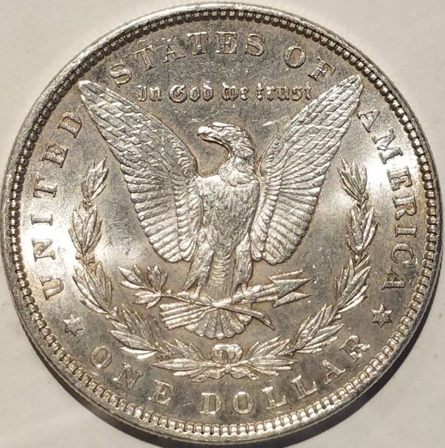 #-30-Of-My-Silver-Dollar-Collection-For--Grading-1897-P-Morgan