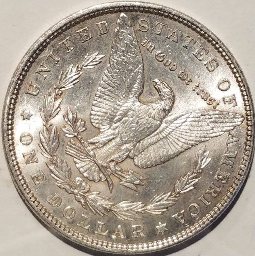 #-30-Of-My-Silver-Dollar-Collection-For--Grading-1897-P-Morgan