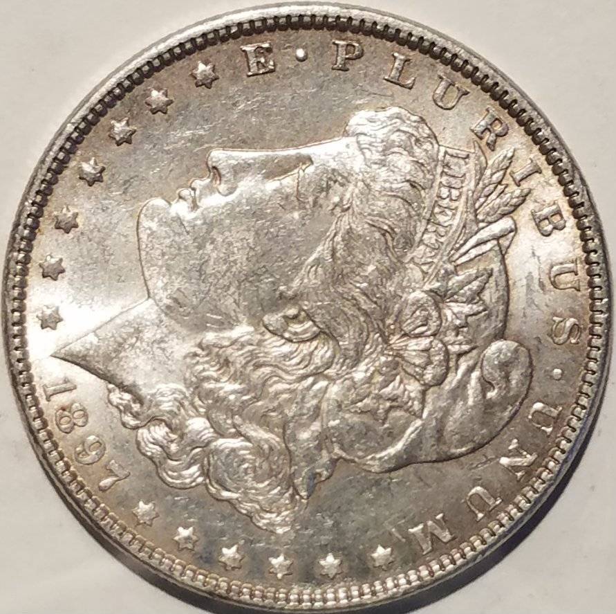 #-30-Of-My-Silver-Dollar-Collection-For--Grading-1897-P-Morgan
