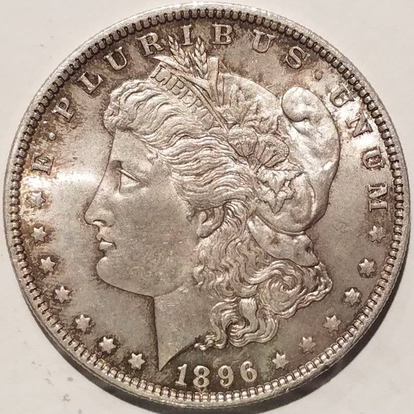 #-34-Of-My-Silver-Dollar-Collection-For--Grading-1896-P-Morgan
