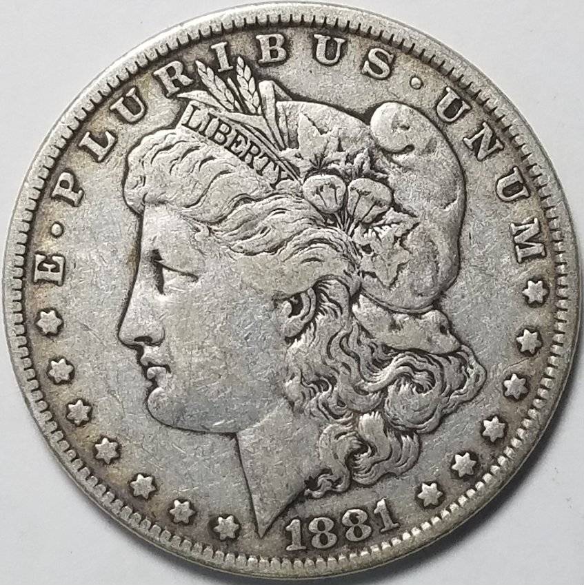#-39-Of-My-Silver-Dollar-Collection-For--Grading-1881-P-Morgan