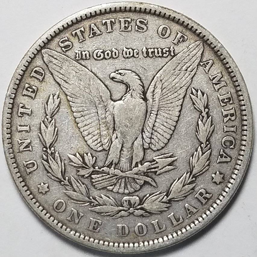 #-39-Of-My-Silver-Dollar-Collection-For--Grading-1881-P-Morgan