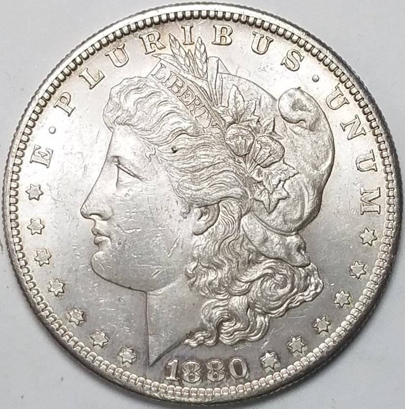 #-40-Of-My-Silver-Dollar-Collection-For--Grading-1880-S-Morgan