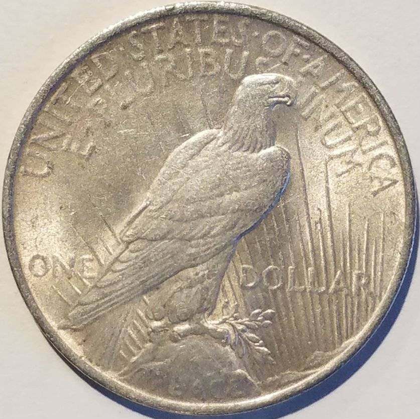 #-47-Of-My-Silver-Dollar-Collection-For--Grading-1923-P-Peace