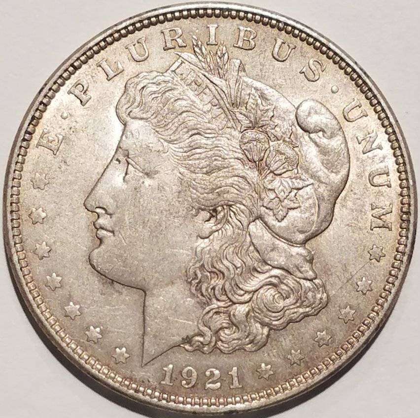 #-48-Of-My-Silver-Dollars-For-Grading-1921-P-Morgan