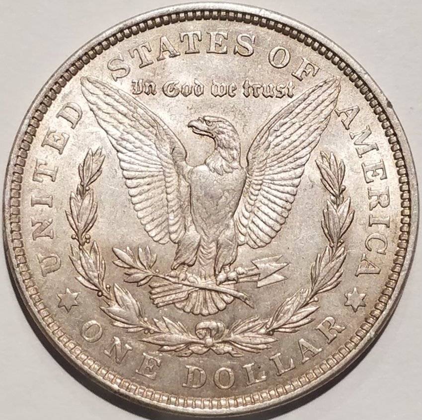 #-48-Of-My-Silver-Dollars-For-Grading-1921-P-Morgan