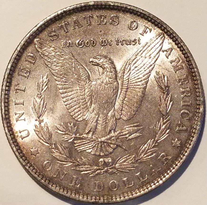 #-49-Of-My-Silver-Dollars-For--Grading-1889-P-Morgan