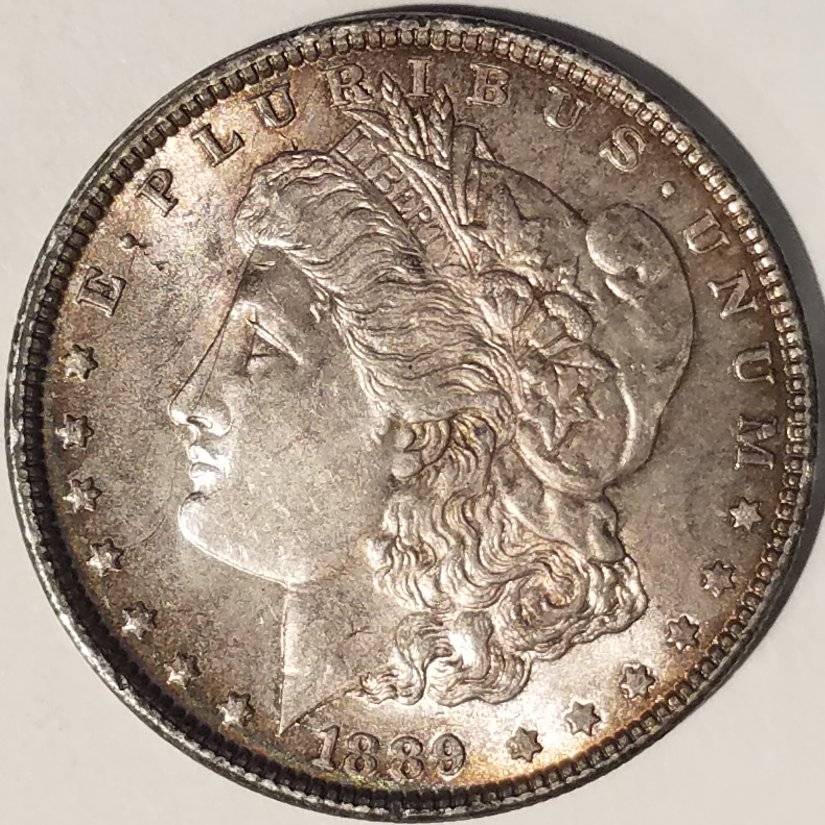 #-49-Of-My-Silver-Dollars-For--Grading-1889-P-Morgan