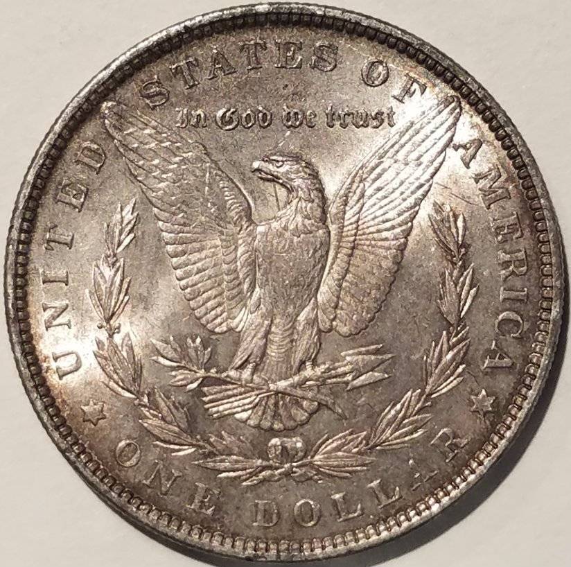 #-49-Of-My-Silver-Dollars-For--Grading-1889-P-Morgan