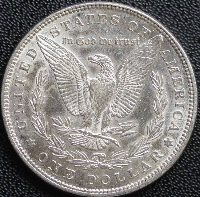 #-52-Of-My-Silver-Dollars-For-Grading-1884-O-Morgan