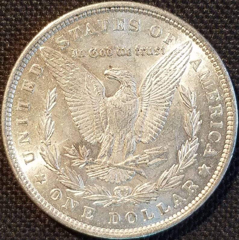 #-60-Of-My-Silver-Dollars-For-Grading-1888-P-Morgan