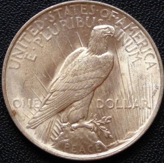 #-56-Of-My-Silver-Dollars-For-Grading-1923-P-Peace