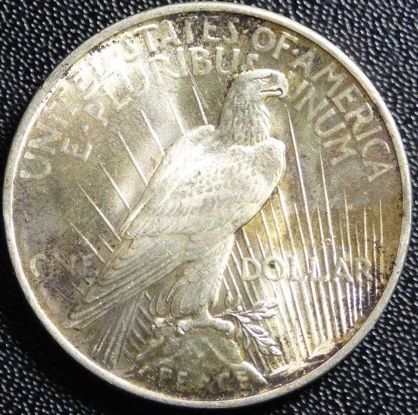 #-57-Of-My-Silver-Dollars-For-Grading-1922-P-Peace