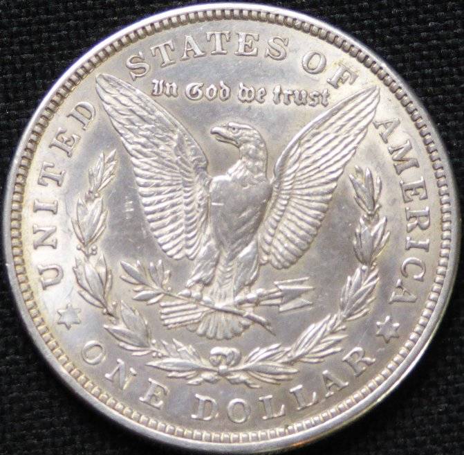 #-58-Of-My-Silver-Dollars-For-Grading-1921-P-Morgan