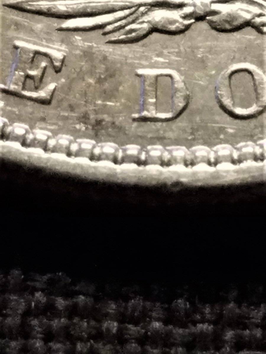 #-52-Of-My-Silver-Dollars-For-Grading-1884-O-Morgan