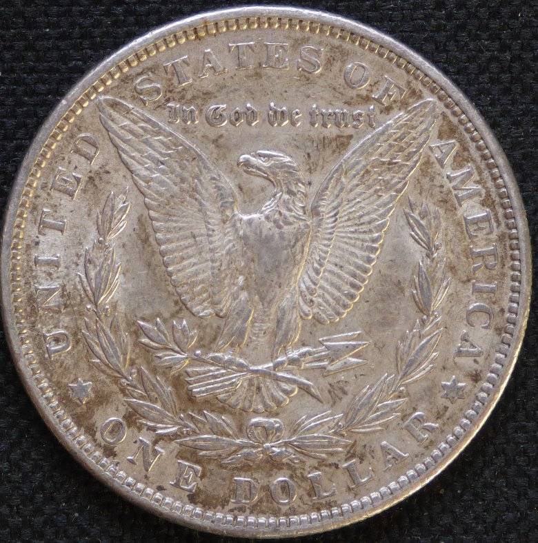 #-62-Of-My-Silver-Dollars-For-Grading-1889-P-Morgan