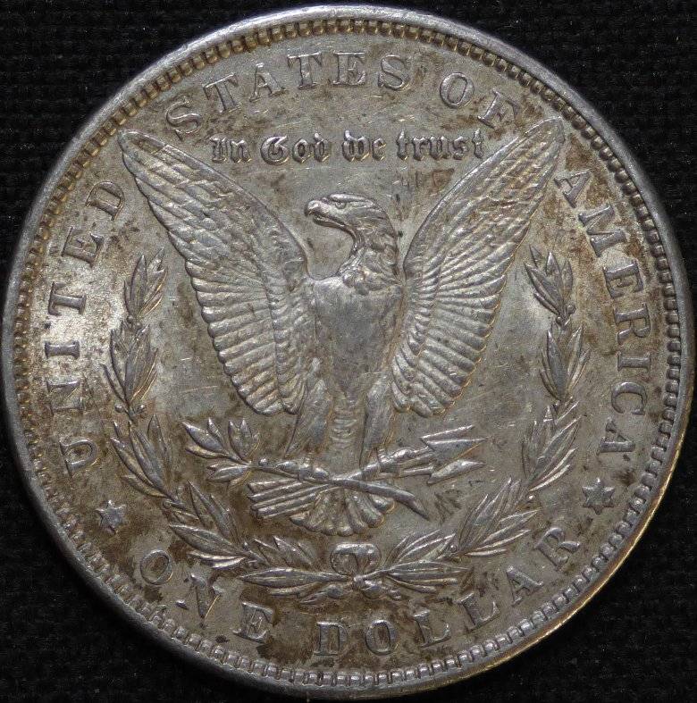 #-62-Of-My-Silver-Dollars-For-Grading-1889-P-Morgan