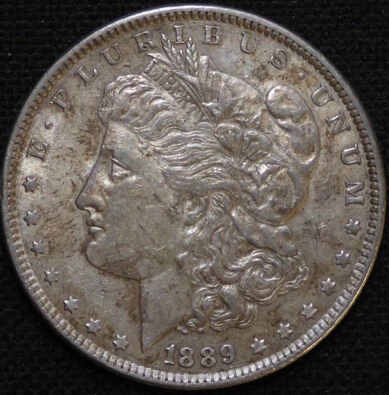 #-62-Of-My-Silver-Dollars-For-Grading-1889-P-Morgan