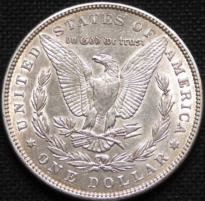 #130---1891-P-Morgan-For-Grading-And-Opinions