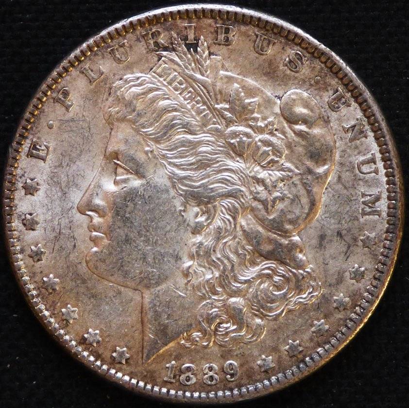 #142---1889-P-Morgan-For-Grading-And-Opinions