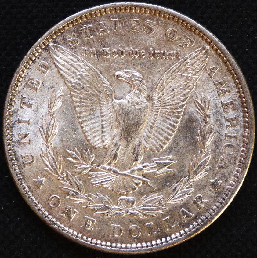 #142---1889-P-Morgan-For-Grading-And-Opinions