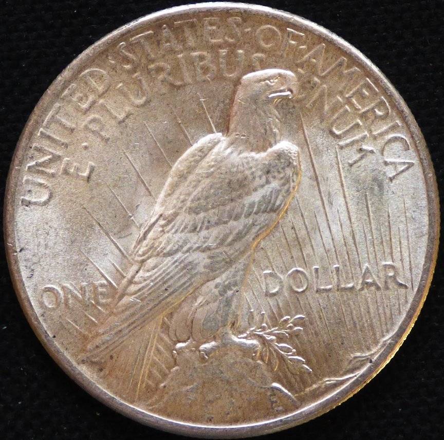 #144---1925-P-Peace-Dollar-For-Grading-And-Opinions