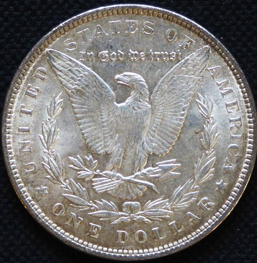 #145---1881-P-Morgan-For-Grading-And-Opinions