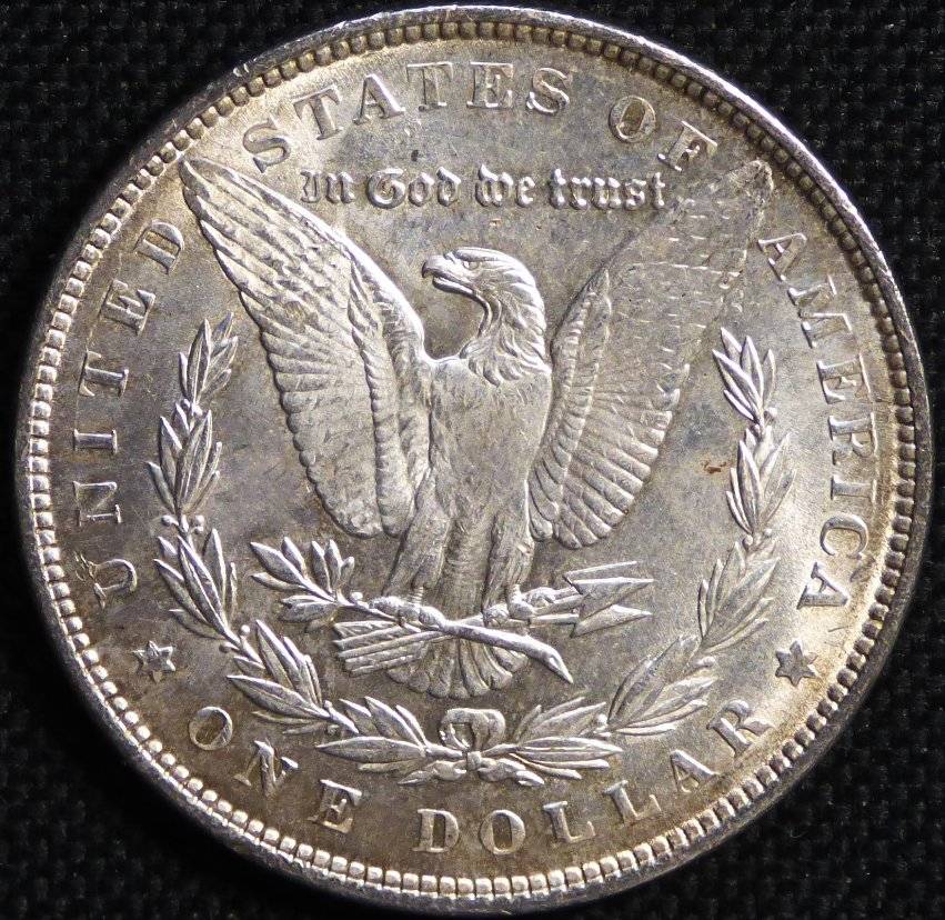 #145---1881-P-Morgan-For-Grading-And-Opinions