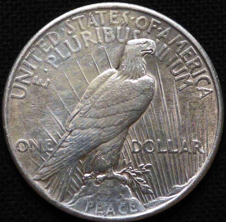#146---1925-P-Peace-Dollar-For-Grading-And-Opinions